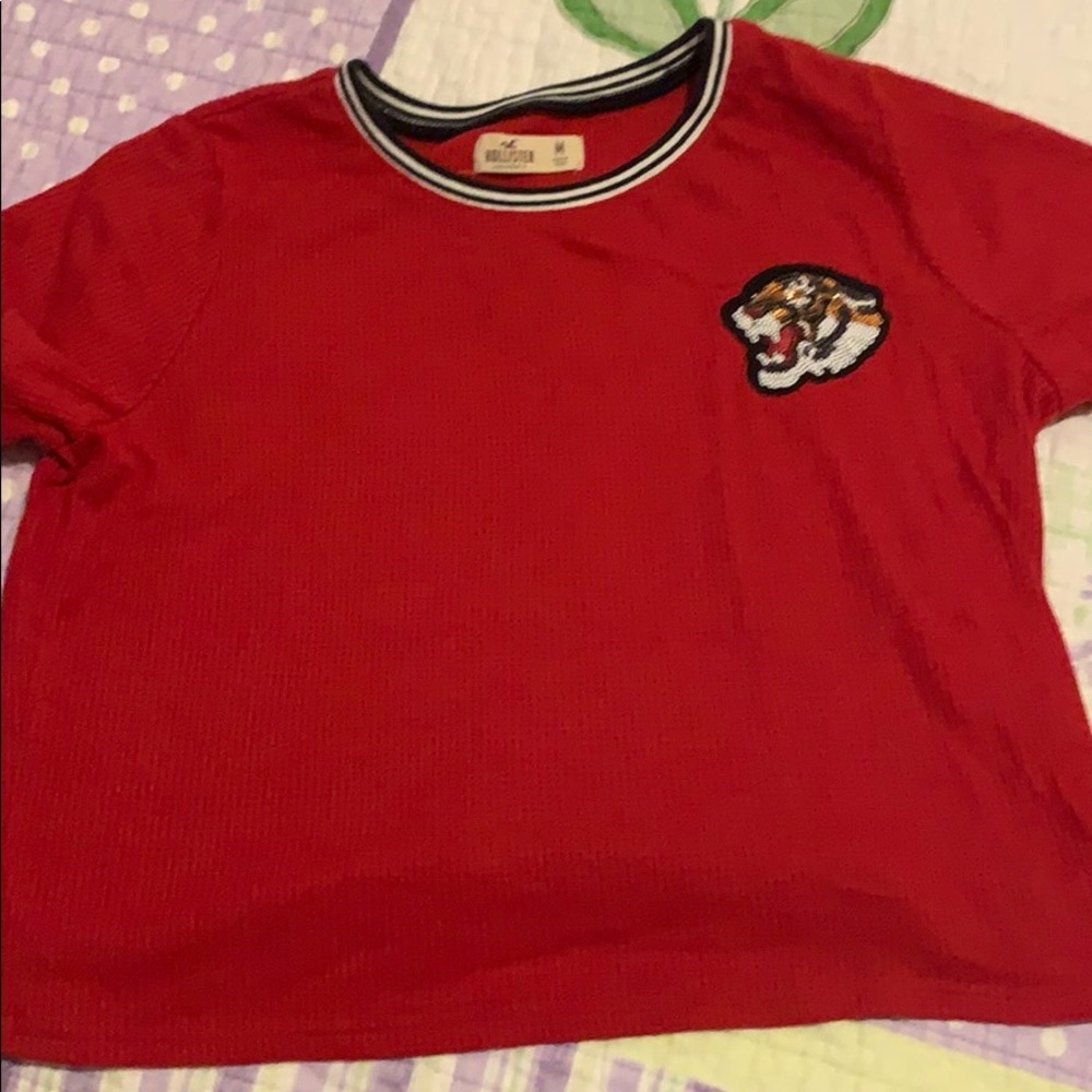 Hollister crop top